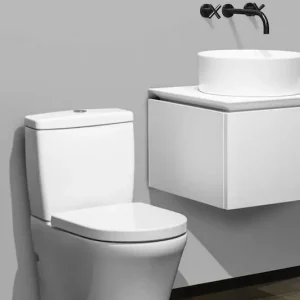 inodoro-o-tulip-villeroy-boch