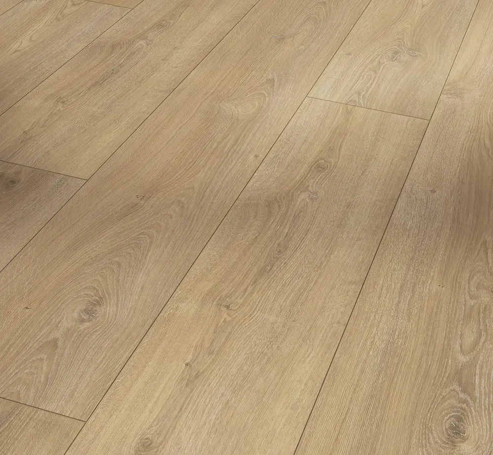 parador-roble-nova-calizo